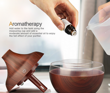 300mL Aromatherapy Humidifier